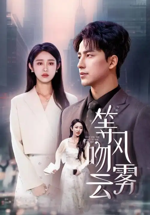 山河故人录 热播电视剧全集在线看